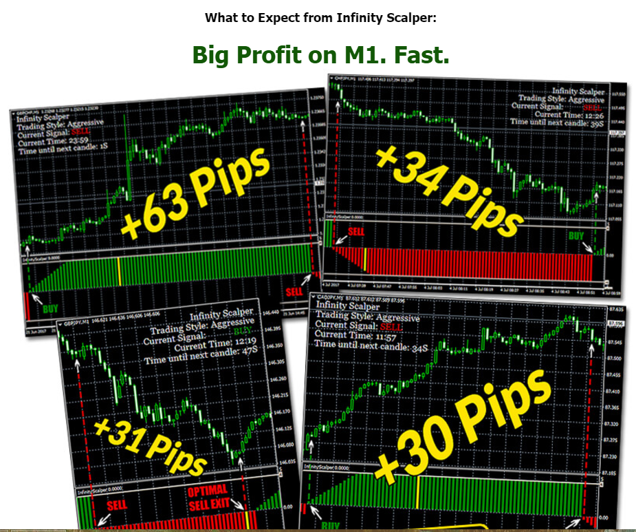 Infinity Scalper Big Profit Result on M1.