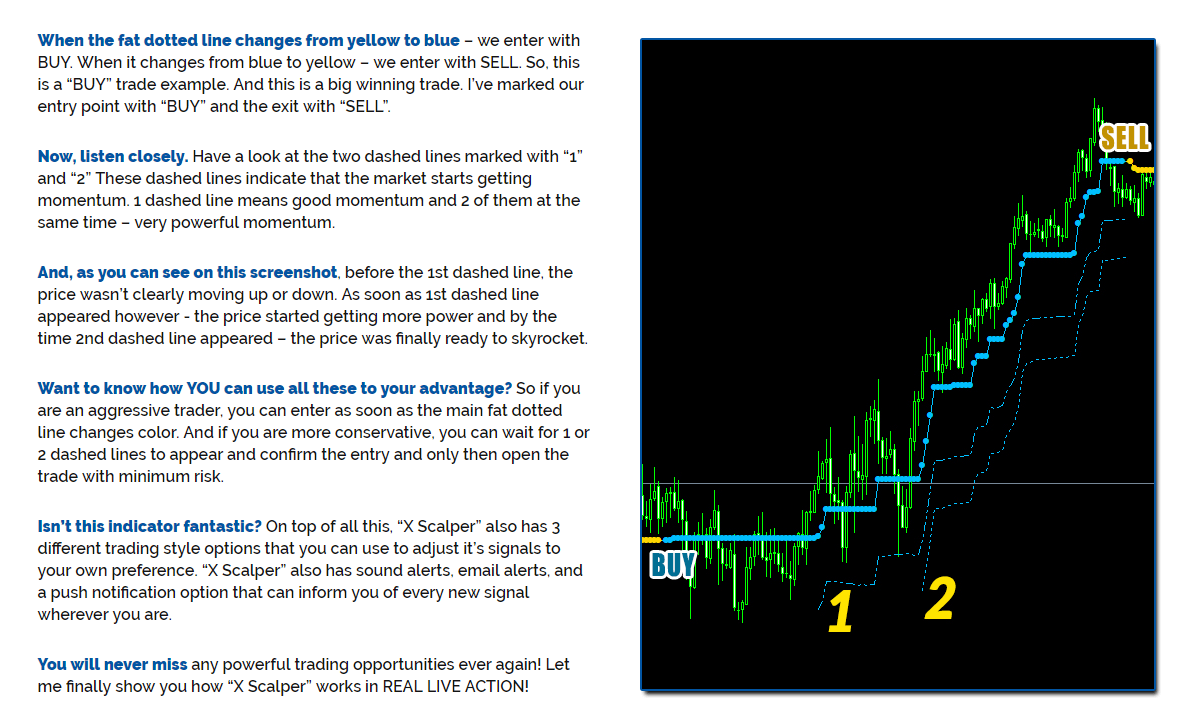 Top 10 Forex Signals Provider Of 2019 25 Forex Signals Reviewed - 