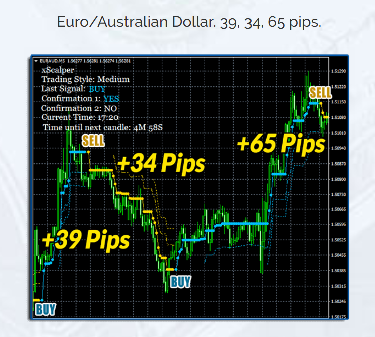 Best forex course review 2020